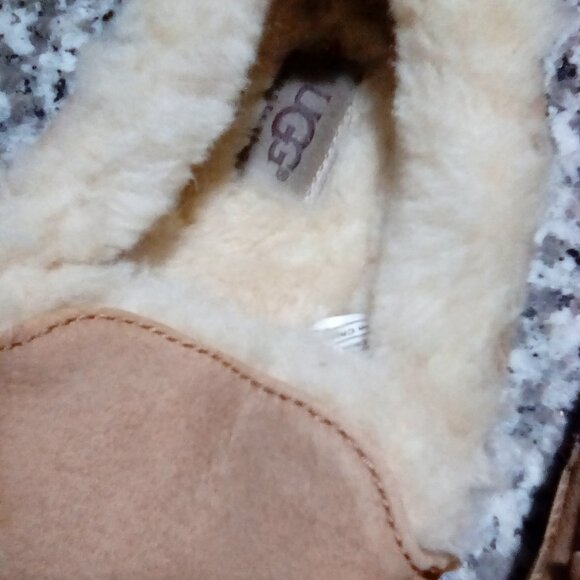 Uggs Ascot Chest Slippers main image 6